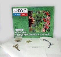 Гербарий "Основные группы растений" (52 листа) - fgospostavki.ru - Шуя