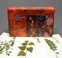 Гербарий для Начальной школы (28 видов) - fgospostavki.ru - Шуя