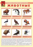 Комплект плакатов "Красная Книга России (животные, растения)" - fgospostavki.ru - Шуя