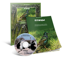 Электронное наглядное пособие «Птицы» - fgospostavki.ru - Шуя