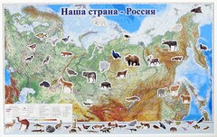 Магнитные карточки "Животные" - fgospostavki.ru - Шуя