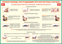 Таблица "Порядок действий при ранениях и термических ожогах" (100х140 сантиметров, винил) - fgospostavki.ru - Шуя
