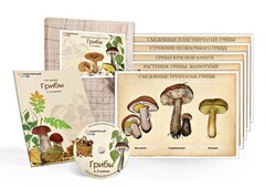 Комбинированное наглядное пособие  «Грибы» - fgospostavki.ru - Шуя