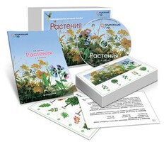 Комбинированное наглядное пособие «Растения» - fgospostavki.ru - Шуя