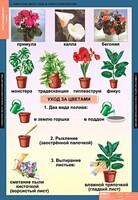 Комплект таблиц. Окружающий мир 1 класс. - fgospostavki.ru - Шуя