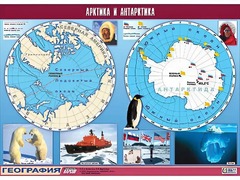 Таблица демонстрационная "Арктика и Антарктика" (винил 100*140) - fgospostavki.ru - Шуя