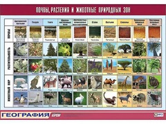Таблица демонстрационная "Почвы, растения и животные природных зон" (винил 100*140) - fgospostavki.ru - Шуя