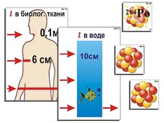Модель-аппликация "Явление радиоактивности" (ламинированная) - fgospostavki.ru - Шуя