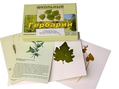 Гербарий "Систематика растений. Высшие споровые и семенные" (раздаточный) - fgospostavki.ru - Шуя