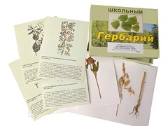 Гербарий "Систематика растений. Семейство Бобовые. Злаки" (раздаточный) - fgospostavki.ru - Шуя