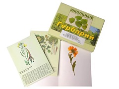 Гербарий "Систематика растений. Семейство Пасленовые. Крестоцветные. Сложноцветные" (раздаточный) - fgospostavki.ru - Шуя