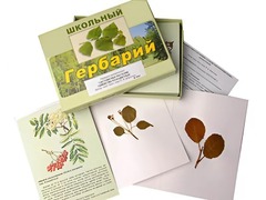 Гербарий "Систематика растений. Семейство Розоцветные" (раздаточный) - fgospostavki.ru - Шуя