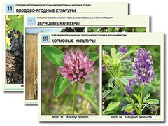 Гербарий фотографический "Сельскохозяйственные растения России" - fgospostavki.ru - Шуя