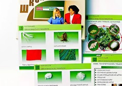 Коллекция "Шелк и продукты его переработки" (средняя школа) - fgospostavki.ru - Шуя