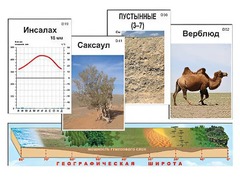 Модель-аппликация "Природные зоны" - fgospostavki.ru - Шуя