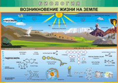Таблица "Возникновение жизни на земле" (100х140 сантиметров, винил) - fgospostavki.ru - Шуя