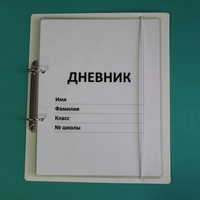 Дневник школьника (с полным набором карточек) - fgospostavki.ru - Шуя