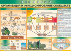 Таблица "Организация и функционирование сообществ" (100х140 сантиметров, винил) - fgospostavki.ru - Шуя