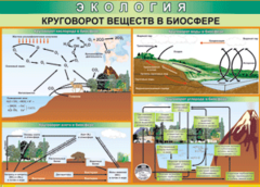 Таблица "Круговорот веществ в биосфере" (100х140 сантиметров, винил) - fgospostavki.ru - Шуя