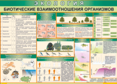 Таблица "Биотические взаимоотношения организмов" (100х140 сантиметров, винил) - fgospostavki.ru - Шуя