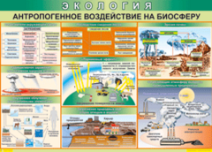 Таблица "Антропогенное воздействие на биосферу" (100х140 сантиметров, винил) - fgospostavki.ru - Шуя