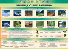 Таблица "Экология. Обобщающие таблицы" (100х140 сантиметров, винил) - fgospostavki.ru - Шуя