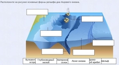 Интерактивные курсы. География 7 класс . Базовый. - fgospostavki.ru - Шуя