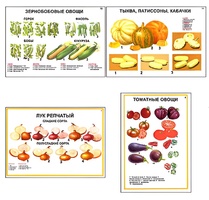 Плакаты ПРОФТЕХ "Ассортимент овощных культур" (12 пл, винил, 70х100) - fgospostavki.ru - Шуя