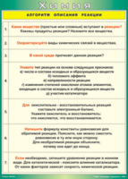 Таблица "Алгоритм описания реакции" (100х140 сантиметров, винил) - fgospostavki.ru - Шуя