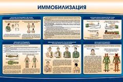 Стенд "Иммобилизация" - fgospostavki.ru - Шуя