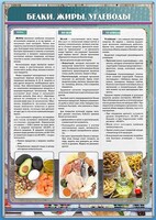 Стенд "Белки. Жиры. Углеводы" - fgospostavki.ru - Шуя
