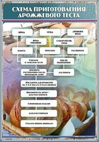 Стенд "Схема приготовления дрожжевого теста" - fgospostavki.ru - Шуя