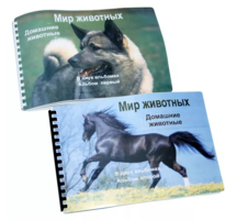 Пособие для слабовидящих - Домашние животные - fgospostavki.ru - Шуя