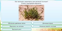 Интерактивные курсы. Окружающий мир 3 класс . Базовый. - fgospostavki.ru - Шуя
