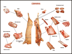 Таблица "Правила разделки мясных туш. Свинина" (100х140 сантиметров. винил) - fgospostavki.ru - Шуя