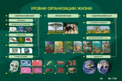 Электрифицированный стенд "Уровни организации жизни" - fgospostavki.ru - Шуя