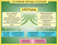 Стенд "Методы селекции и биотехнологии" - fgospostavki.ru - Шуя
