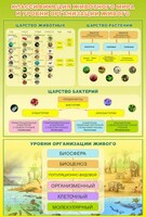 Стенд "Классификация животного мира" - fgospostavki.ru - Шуя