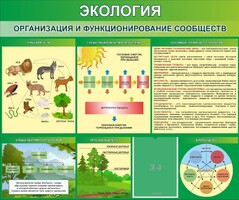 Стенд "Экология. Организация и функционирование сообществ" - fgospostavki.ru - Шуя