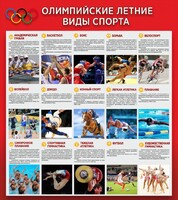 Стенд "Олимпийские летние виды спорта" - fgospostavki.ru - Шуя