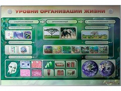 Электрифицированный стенд "Уровни организации жизни" - fgospostavki.ru - Шуя