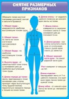 Стенд "Снятие мерок" Вариант 2 - fgospostavki.ru - Шуя