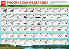 Стенд "Красная книга РФ" - fgospostavki.ru - Шуя
