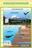 Стенд "Строение биосферы" - fgospostavki.ru - Шуя