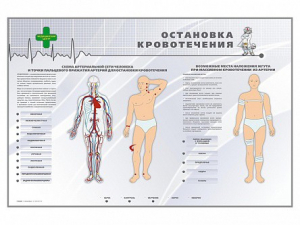 Электрифицированный стенд "Остановка кровотечения" - fgospostavki.ru - Шуя