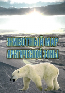 DVD "Животный мир Арктической зоны" - fgospostavki.ru - Шуя