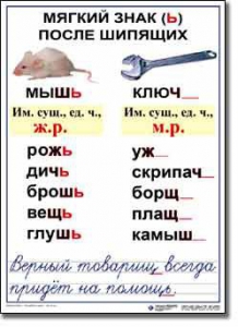 Комплект таблиц по русскому языку для начальной школы. Русский язык 3 класс - fgospostavki.ru - Шуя