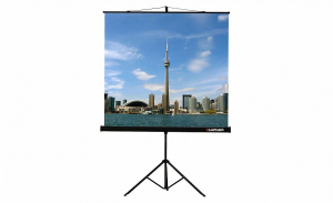 Проекционный экран на штативе Lumien Eco View (LEV-100105) 160x160 см - fgospostavki.ru - Шуя