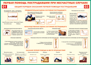 Таблица "Общий порядок оказания первой помощи пострадавшим" (100х140 сантиметров, винил) - fgospostavki.ru - Шуя