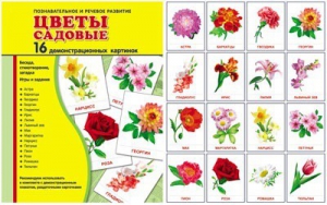 Демонстрационные карточки "Цветы садовые" - fgospostavki.ru - Шуя